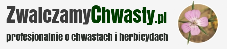 ZwalczamyChwasty.pl